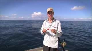 Rapala CountDown Magnum 11 RHS