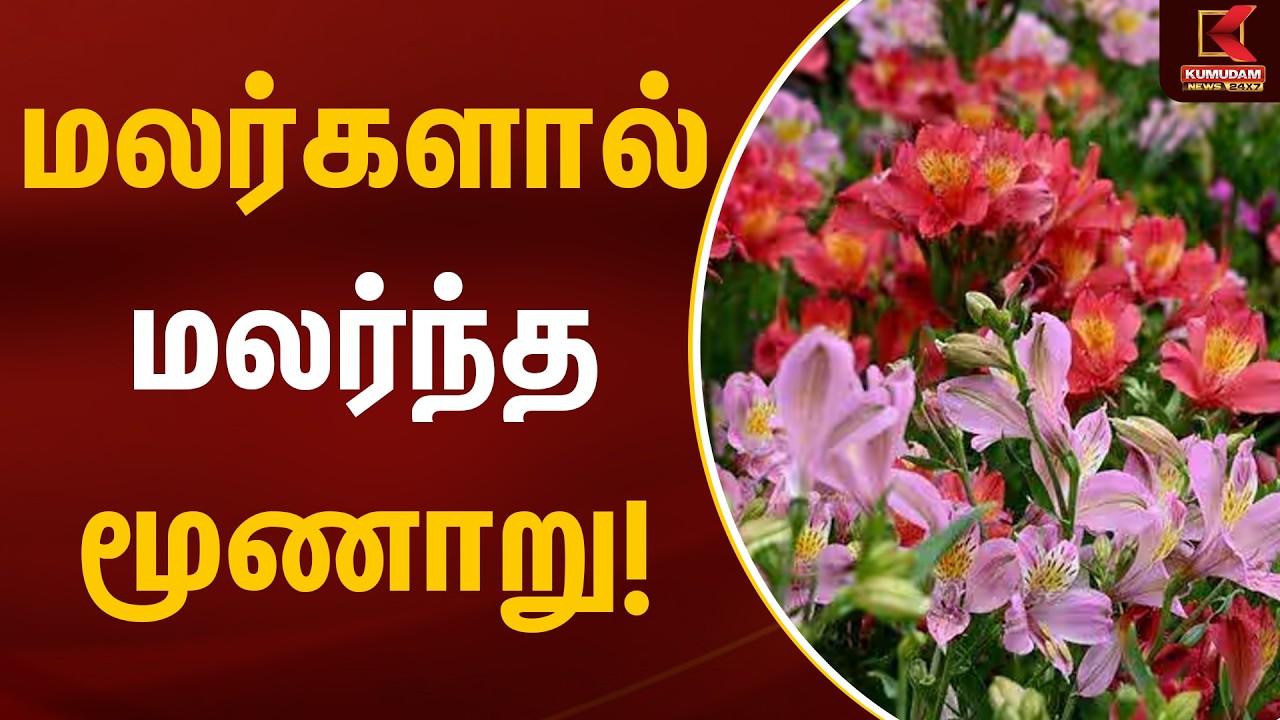 மலர்களால் மலர்ந்த மூணாறு! | Munnar | Flower Exhibition | Kumudam News