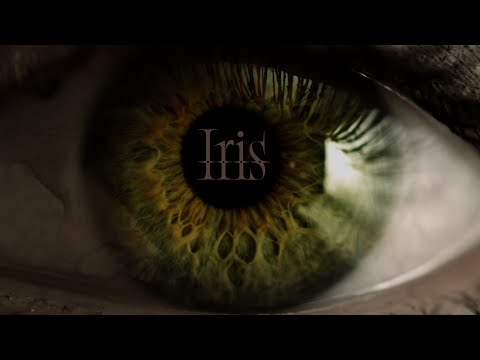 BUDDiiS「Iris」Official Music_Video
