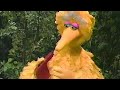 Big Bird S Whistle Poem