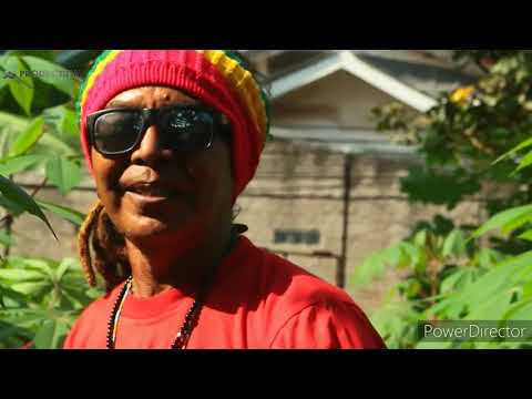 OA PENI | LMONDO T.DASILVA | CIPT : MARTHEN TOBBY DS | VOC : ELMONDO TOBBY DASILVA