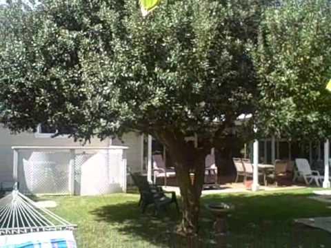 BURBANK HOUSE FOR RENT