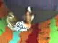 fun house 