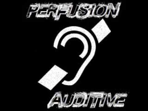Silyfirst - Perfusion Auditive
