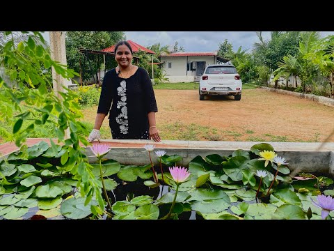Flowers at Farmhouse | Life at Farmhouse | Sridevi. |