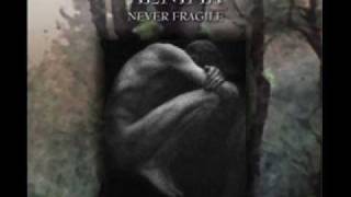 Aenima-The Light (lyrics)