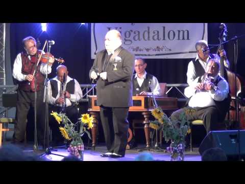 TOLNAI ANDRÁS NYÁRESTI VIGADALOM CEGLÉD 2014.07.26. 00010