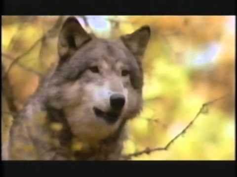 John Denver Tribute Soaring With The Eagles Fred Ludovici & MRM