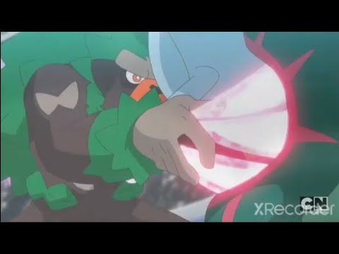 Dracovish Vs Rillaboom English Dubbed