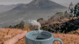 Download lagu Story wa ngopi di gunung, Story wa ngopi, Story wa ngeteh mp3 Download lagu Story wa ngopi di gunung, Story wa ngopi, Story wa ngeteh mp3