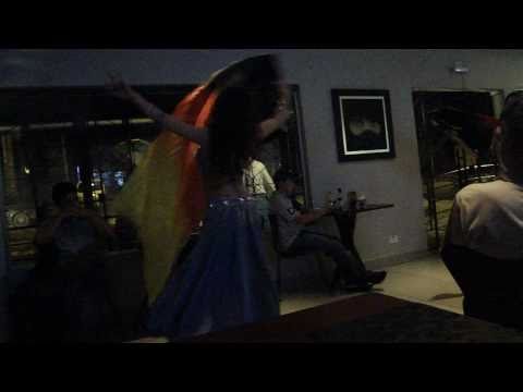 Genevieve Féder _ Fan Veil