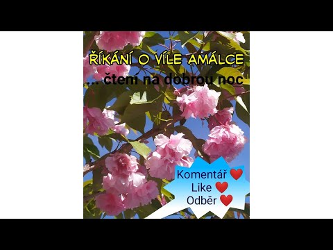 Jak víla Amálka nechala stát myslivce Mušku v lese