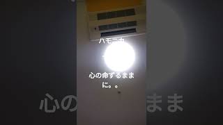 #ギター弾き語り#ハモニカ