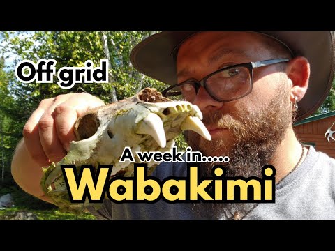 Fly-In Fishing Adventure: Off-Grid in Wabakimi's Windfall Lake