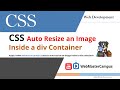 CSS Auto Resize an Image Inside a Div Container
