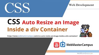 CSS Auto Resize an Image Inside a Div Container
