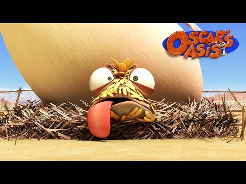 Baby Chicken Oscar COMPILATION | Oscar's Oasis | Kids Cartoons