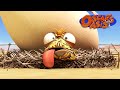 Baby Chicken Oscar COMPILATION Oscar S Oasis Kids Cartoons