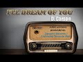 I Ll Dream Of You Matt Monro Dynasty Version Karaoke Cover Dolby Digital Stereo 60fps