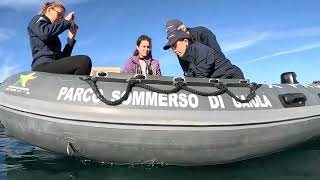 gaiola-a-napoli-35-polpi-liberati-nell-area-marina-protetta