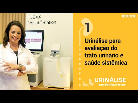 Aula #1🟡 URINÁLISE com Patrícia Mosko