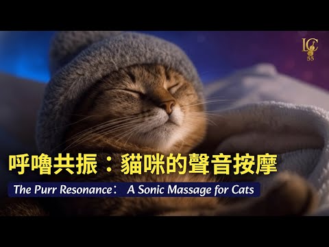 【貓咪專用長時間放鬆音樂】貓咪的聲音按摩｜呼嚕白噪音 + 療癒豎琴｜深度放鬆｜舒緩焦慮、促進睡眠。