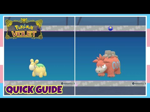 How To Evolve Numel Into Camerupt In Pokemon Scarlet & Violet | Quick Guide