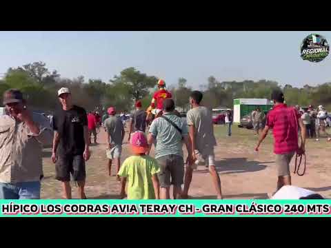 REBELDE SPECIAL,HIPICO LOS CONDRAS AVIA TERAY CH