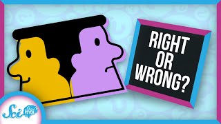 Why It's So Hard to Admit You're Wrong | Cognitive Dissonance