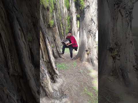 Corto (EL DUENDE DEL BANDONEÓN) en Comallo - Río Negro