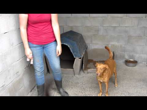 pumuki, donika en yulisa 1