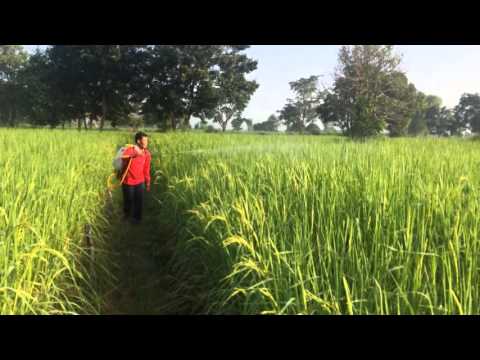 โรคสะเก็ดเงินเป็นโรคจิตใจ เจาะในโรคสะเก็ดเงิน