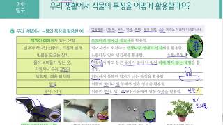 [초등과학 4-2 무료강의] 1. 식물의 생활 ⑥ 우리 생활에서 식물의 특징을 어떻게 활용할까요?