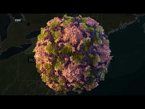 Rockland County Polio Vaccine