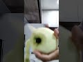 PEELING CRUNCHY JUICY GREEN APPLE