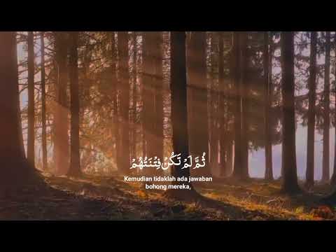 Surah Al An'am Ayat (21-24) Sheikh Muhammd Ayyub #quran #tadaburquran #tiktok #tilawat #ngaji