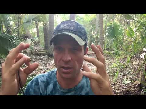 Using Zeolite for Detox - Pros and Cons