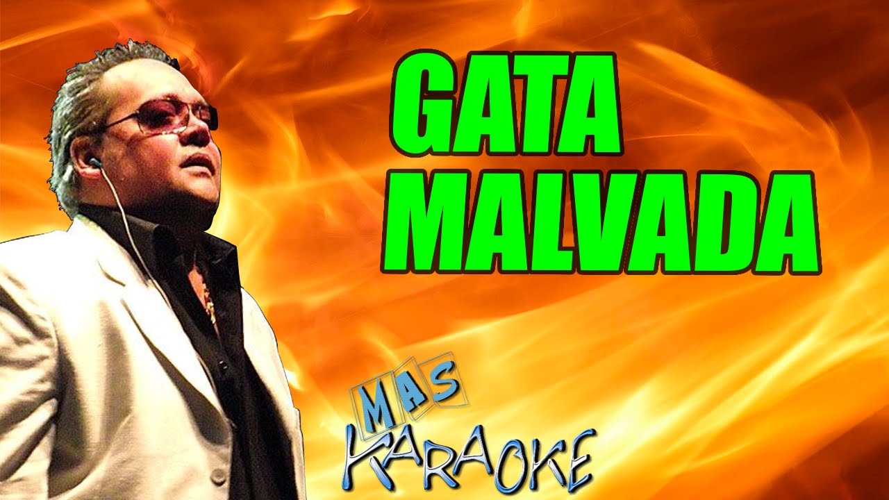 GATA MALVADA