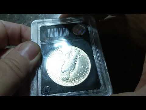 download lagu mp3 mp4 Silver Chief, download lagu Silver Chief gratis, unduh video klip Silver Chief