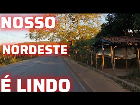 AS RIQUEZAS DO NOSSO NORDESTE PB-079 SENTIDO ALAGOA GRANDE-PB E JUAREZ TÁVORA-PB 