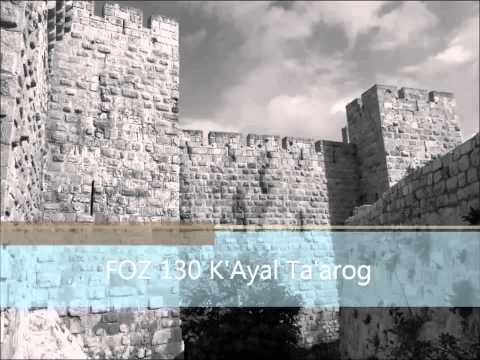FOZ 130 K'Ayal Ta'arog