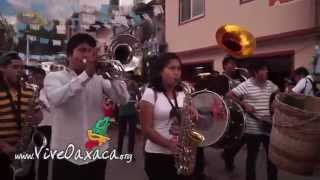 preview picture of video 'Guelaguetza en Juquila 2014: Desfile de Delegaciones'