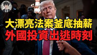 Thumbnail for 政策大轉向懂王變慫王：為中期選舉川普抽幹美國資產價值|黃大聖叨叨叨