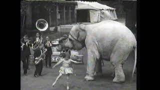 Kitchens of Distinction - Hypnogogic