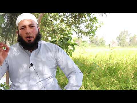 شجرة المشمش في المنام للشيخ أحمد عبد الحافظ