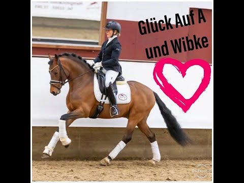 Glück Auf A und Wibke Hartmann-Stommel / Hengstschau Vechta / Reitponyhengst / ponystallion ❤️❤️❤️