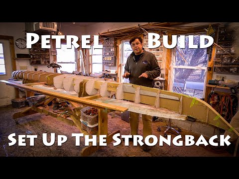 Setting up Forms - Petrel Build - E2