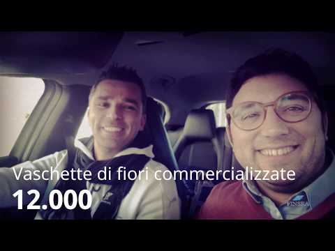 download lagu mp3 mp4 Finsea, download lagu Finsea gratis, unduh video klip Finsea