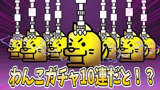 [わんこ大戦争]11連わんこガチャを引く！[にゃんこ大戦争]