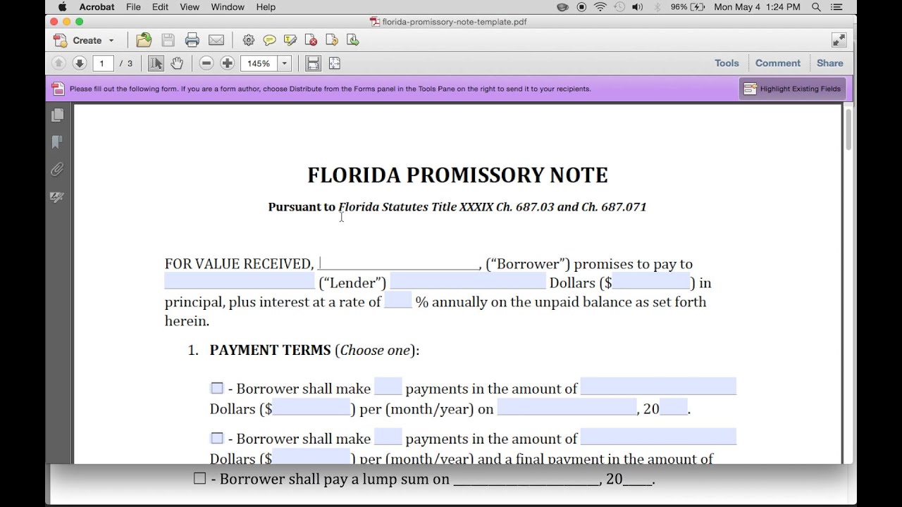 How to Write a Florida Promissory Note | PDF & Word